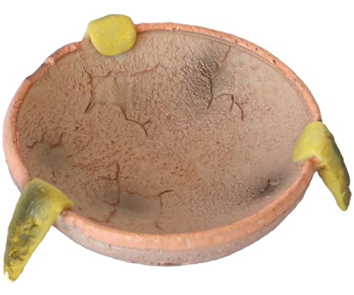 Futter-/Wassernapf für Reptilien, Amphibien und andere kleine Tiere, Wasser-/Futternapf, aus hochwertigem Harz, Reptilien-Futternäpfe für Bartagamen, Eidechse, Einsiedlerkrebse, Gecko, Schildkröte Futter-/Wassernapf für Reptilien, Amphibien und andere kleine Tiere, Wasser-/Futternapf, aus hochwertigem Harz, Reptilien-Futternäpfe für Bartagamen, Eidechse, Einsiedlerkrebse, Gecko, Schildkröte von Generic