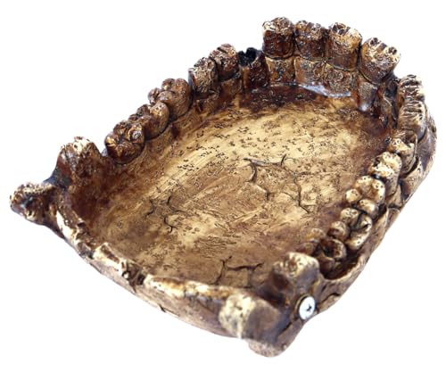 Futter-/Wassernapf für Reptilien, Amphibien und andere kleine Tiere, Wasser-/Futternapf, aus hochwertigem Harz (Krokodilmund) von Generic