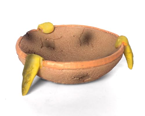 Futter-/Wassernapf für Reptilien, Amphibien und andere kleine Tiere, Wasser-/Futternapf, aus hochwertigem Harz (orange-braune Schale) von Generic