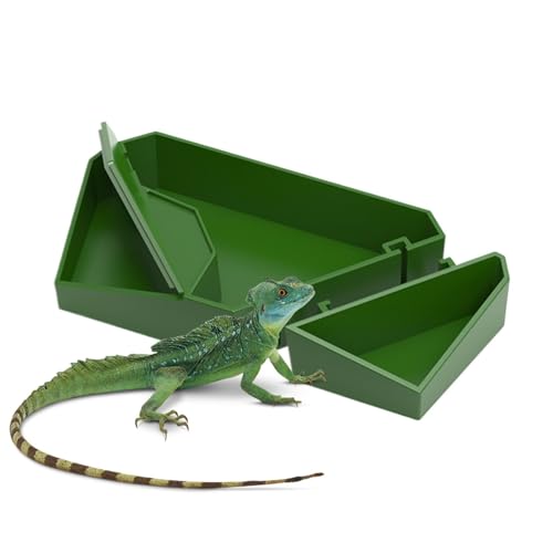 Futterschale für Reptilien – Abnehmbare Eidechsen-Futterschale, Futterschale und Wasserplatten für Eidechsen, abnehmbar, Futterspender für Kleintiere, Schüssel Futterschale für Reptilien – Abnehmbare Eidechsen-Futterschale, Futterschale und Wasserplatten für Eidechsen, abnehmbar, Futterspender für Kleintiere, Schüssel von Generic