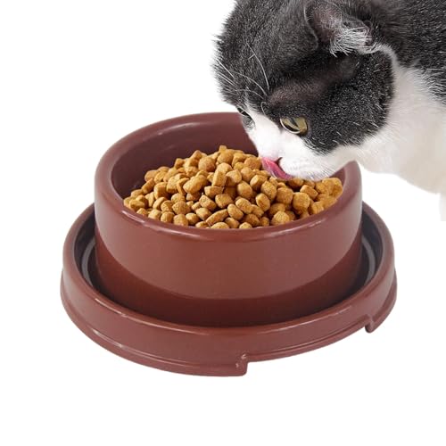 Futterstation für Hunde, Katzenfutternapf, bunte runde Teller für Katzenfutter für Hunde - Auslaufsichere Katzenfutterstation von Generic