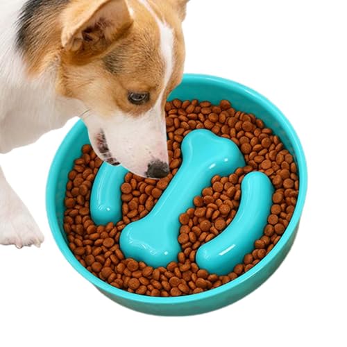Futterstation für Hunde mit langsamer Fütterung, Futternapf für Haustiere mit langsamer Fütterung | Langsamer Futternapf für Hunde und Katzen | Trocken- und Nassfutter von Generic