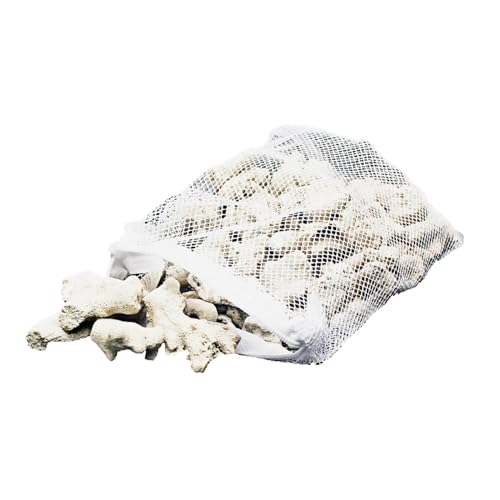 Garneck 3 10 cm 500 g zerkleinerte Korallen für Süßwasser-Salzwasseraquarien, natürlicher Korallenstein für Aquariumfilter, Aquarium-Bodendekorationen (zufällige Schule Der Magische (White, One Size) Garneck 3 10 cm 500 g zerkleinerte Korallen für Süßwasser-Salzwasseraquarien, natürlicher Korallenstein für Aquariumfilter, Aquarium-Bodendekorationen (zufällige Schule Der Magische (White, One Size) von Generic