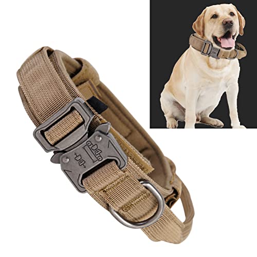 Generic Hundehalsband, Haustierhund Nylon M Außengröße für Hunde von Generic