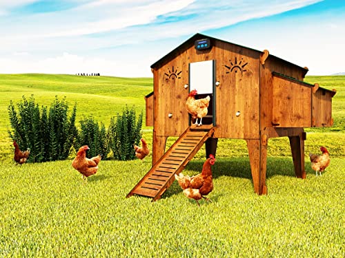 POLLY DUPLEX 4XL Holz Farbe Hühnerstall HPL Anti-Aarorot für 15/20 Hühner von Generic