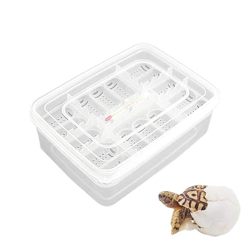 Generic Reptilien-Aufzuchtbox, Reptilien-Brutbox, 16 Gitter transparente Brutbox für Reptilieneier, Inkubationsbox für die Entwicklung von Reptilieneiern, Brutkasten, Bruttablett von Generic