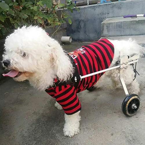 Generisch Hund Haustier Rollstuhl Hund Rollstuhl Mobilität Hund Unterstützung Rollstuhl für Hinterbeine Einstellbar 2 Rad Hinterbein Rehabilitation von Generic