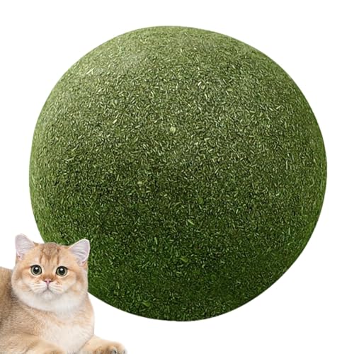 Große Katzenfischkugeln - 10 Cm Leckbares Minzspielzeug, Natürliche Kräuterrelief Für Katzen | Big Cat Treat Globe Für Indoor-Kätzchenspiel, Verlangenball Im Freien, Selbstbauer Pellet Freude, Kauenmi von Generic