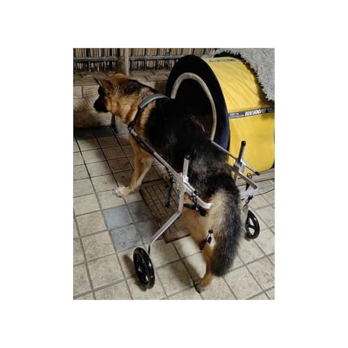 Großer Hunderollstuhl Für Deutsche Schäferhunde, M/XL/XXL/XXXL, Verstellbare Mobilitätsrehabilitationsräder, Gehen Mit Behinderten Hinterbeinen Für 15 Bis 60 Kg Schwere Hunde(3XL) von Generic