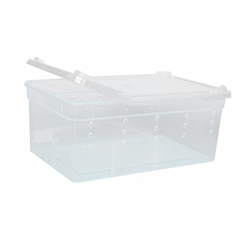 H3 Aufbewahrungsbox für Reptilien, Kunststoff, transparent, 19 x 12,5 x 7,5 cm von Generic