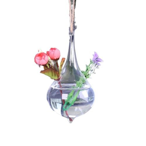 Hängendes Glasterrarium, Transparentes Terrarium für Fenster für Luftpflanzen von Generic