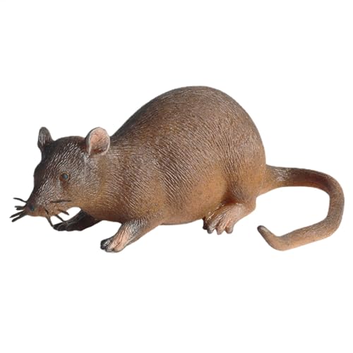 Halloween Fake Maus - Realistische Spielzeugmaus für Streiche | Lustige Simulierte Maus aus TPR für Halloween Dekoration, Gruselige Mäusefigur für Party Streiche und Scherze Halloween Fake Maus - Realistische Spielzeugmaus für Streiche | Lustige Simulierte Maus aus TPR für Halloween Dekoration, Gruselige Mäusefigur für Party Streiche und Scherze von Generic