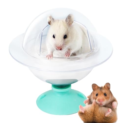 Hamster Sand Badebox - Duschraum Hamster Chinchilla Sandbad Katzentoilette - Graben Sandbehälter Relaxhaus Transparent für Rennmäuse Zwerghamster Hamster Sand Badebox - Duschraum Hamster Chinchilla Sandbad Katzentoilette - Graben Sandbehälter Relaxhaus Transparent für Rennmäuse Zwerghamster von Generic