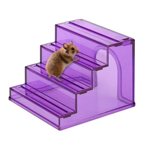 Hamsterhaus | 2-in-1 Kleintier-Kletterleiter mit Anti-Rutsch-Rampe | Kaubares Übungsspielzeug für Mäuse, Rennmäuse und Hamster | lustiges Futterhaus für Spielzeit & Käfigbereicherung Hamsterhaus | 2-in-1 Kleintier-Kletterleiter mit Anti-Rutsch-Rampe | Kaubares Übungsspielzeug für Mäuse, Rennmäuse und Hamster | lustiges Futterhaus für Spielzeit & Käfigbereicherung von Generic