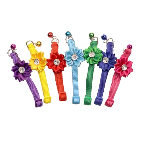 Haustier-Halsband mit Glöckchen und Blume, für Hunde und Katzen, verstellbar und sicher von Generic