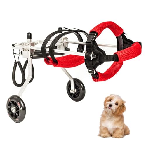 Haustier-Rollstuhl for Die Hinterbeine, Verstellbare Vollunterstützung, Rollstuhl for Die Hinterbeine Von Kleinen Haustieren Und Großen Hunden Mit 2 Rädern, Mobilitätshilfe for Katzen(XS) von Generic