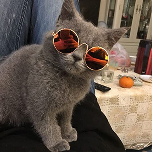 Haustierbrille Sonnenbrille Schöne Haustierkatze Gläser Hundebrille für Haustierprodukte Augenkleidung Fotos Requisiccessoires Cool Pet Gläsern Runde bunt (Color : 10) von Generic