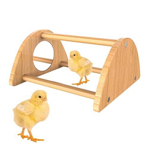 Hühnersitzstange, lustige Baby-Küken-Sitzstange mit Spiegel, Hühnerschaukel, starke hölzerne Hühner-Sitzstangen für Küken, Papageien, Vögel, Hühner-Spielzeug für von Generic
