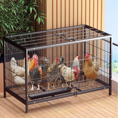 Hühnerstall Mit Kräftigem Rahmen, Ausbruchsichere Hühnerkäfig Mit 2 Türen Für Drinnen Und Draußen, Geräumiges Geflügelhaus Für Hinterhof(100 * 60 * 66cm) von Generic