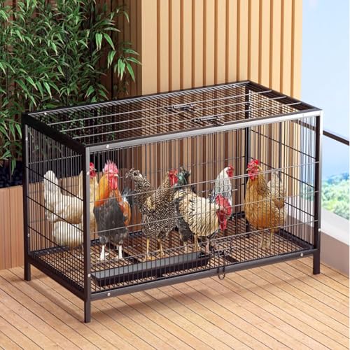 Hühnerstall Mit Kräftigem Rahmen, Ausbruchsichere Hühnerkäfig Mit 2 Türen Für Drinnen Und Draußen, Geräumiges Geflügelhaus Für Hinterhof(81 * 60 * 66cm) von Generic