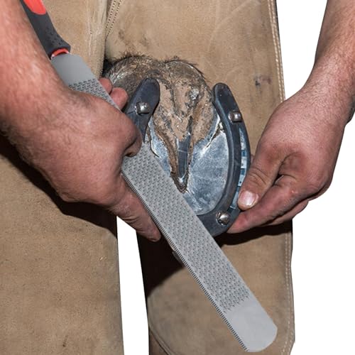 Hufraspel, Hufraspelfeile - Doppelseitige -Raspel-Huffeile für,Hufeisen-Trimmfeile, Hufschmied-Werkzeuge, Reparatur von Pferden/Eseln mit harten Hufen Hufraspel, Hufraspelfeile - Doppelseitige -Raspel-Huffeile für,Hufeisen-Trimmfeile, Hufschmied-Werkzeuge, Reparatur von Pferden/Eseln mit harten Hufen von Generic