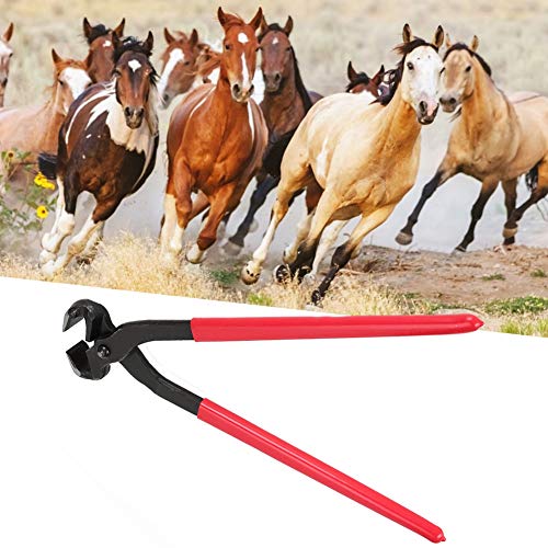 Huftzugwerkzeuge, 16 -Zoll -Stahlhufnipper Trimmer Cutter Hufre Schuhputzwerkzeug Ziege Hufschneider Picks für Pferde für Fohlen, Shetland, Miniatur, Donkey Trimmen von Generic