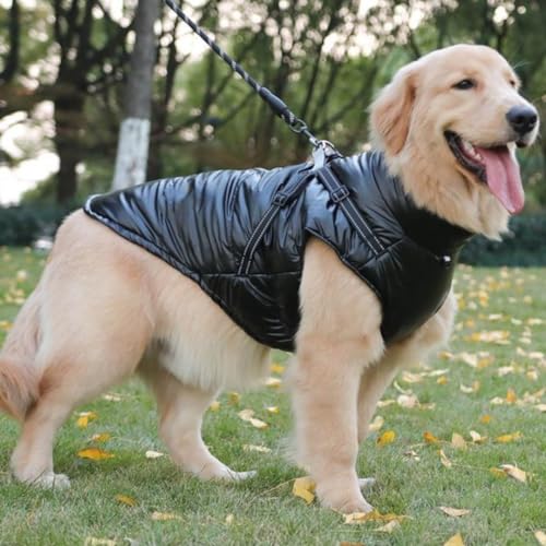 Hunde-Fleece mit Beinen, bequemer, strapazierfähiger und stilvoller Hundemantel für kaltes Wetter, hält Ihren Hund warm und bequem (Schwarz, Größe M) von Generic