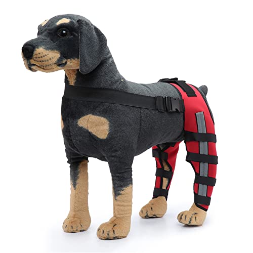 Hunde-Kniebandage, verstellbar, doppelte Hinterbeinbandage mit Metallscharnier, flexibler Unterstützung und reflektierenden Sicherheitsgurten, Hunde-Acl-Bandage, Hinterbein, Rot (M) von Generic