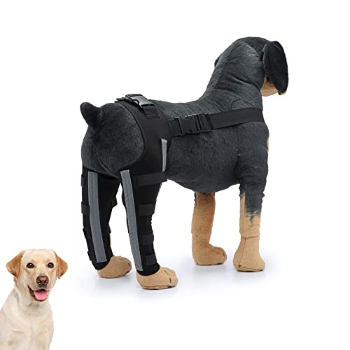 Hunde-Kniebandage, verstellbar, doppelte Hinterbeinbandage mit Metallscharnier, flexibler Unterstützung und reflektierenden Sicherheitsgurten, Hunde-Acl-Bandage, Hinterbein-Bandage, Schwarz (M) von Generic