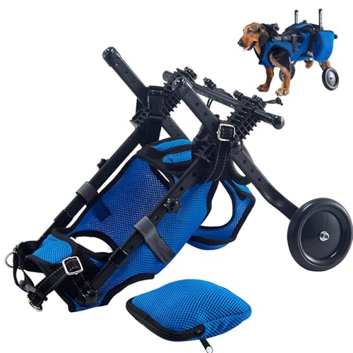 Hunde-Mobilitätswagen mit verstellbarem Geschirr, Rücken- und Beinstütze, Gehhilfe für Genesung und ältere Haustiere von Generic
