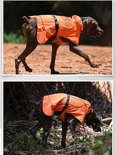Hunde-Regenmantel mit Bund, wasserdicht, winddicht, eng anliegend und verstellbar, reflektierende Elemente von Generic
