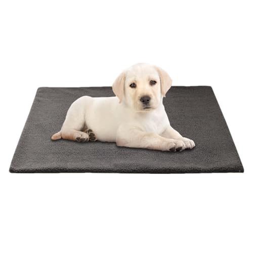 Hundebett, Heizung, selbstheizend – Matte für Haustiere, Katzenbett für Hunde, nicht rutschend, thermisch | Zusätzliches Wärmepad für Haustiere, Wärmeverteilung Hundebett, Heizung, selbstheizend – Matte für Haustiere, Katzenbett für Hunde, nicht rutschend, thermisch | Zusätzliches Wärmepad für Haustiere, Wärmeverteilung von Generic