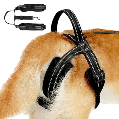 Hundegeschirr, reflektierende Streifen Bequemes und verstellbares Hüftunterstützungsgeschirr - Leichte und robuste Weste für ältere oder behinderte Hunde Hundegeschirr, reflektierende Streifen Bequemes und verstellbares Hüftunterstützungsgeschirr - Leichte und robuste Weste für ältere oder behinderte Hunde von Generic