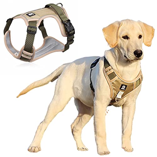 Hundegeschirr mit reflektierenden Sicherheitsstreifen, Schnellverschluss-Schnalle, verstellbare Größe, einfacher Griff, Größe XL, empfohlenes Gewicht: 22,5 kg - 45 kg Hundegeschirr mit reflektierenden Sicherheitsstreifen, Schnellverschluss-Schnalle, verstellbare Größe, einfacher Griff, Größe XL, empfohlenes Gewicht: 22,5 kg - 45 kg von Generic