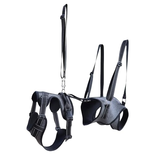 Hundegeschirr zum Heben – Ganzkörperschlinge für verletzte, ältere oder behinderte Hunde, große, mittelgroße und kleine Rassen, Reha- und Genesungsweste, bequemes Tragegeschirr Hundegeschirr zum Heben – Ganzkörperschlinge für verletzte, ältere oder behinderte Hunde, große, mittelgroße und kleine Rassen, Reha- und Genesungsweste, bequemes Tragegeschirr von Generic