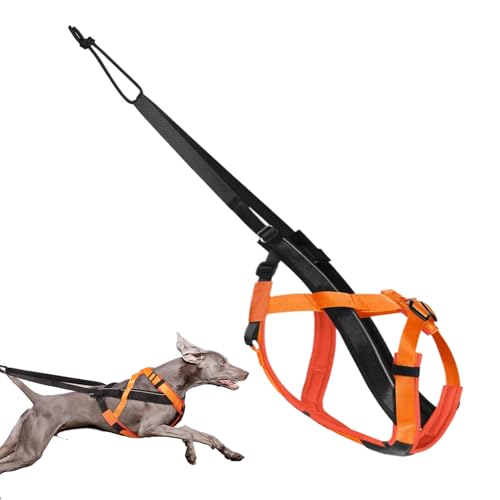 Hundegeschirr zum Ziehen – Reflektierendes großes Hundegeschirr, verstellbares Zugseil für Schlitten-Training, Spazierengehen, Training, Sport, Outdoor-Aktivitäten Hundegeschirr zum Ziehen – Reflektierendes großes Hundegeschirr, verstellbares Zugseil für Schlitten-Training, Spazierengehen, Training, Sport, Outdoor-Aktivitäten von Generic