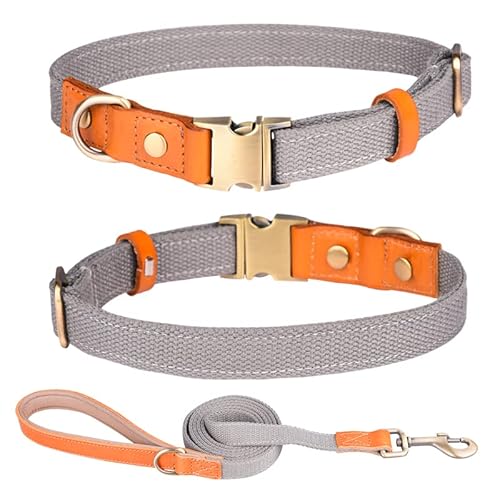 Hundehalsband aus Nylon, mit Metall-Sicherheitsschnalle, verstellbare Halsbänder aus Leder und Nylon, für kleine, mittelgroße und große Hunde (M, Grau) von Generic