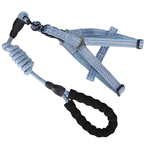 Hundehalsband und Geschirr-Set, Hundegeschirr-Gurt, Hunde-GEH-Trainingsgeschirr mit Bequemem Griff, Hundegeschirr, Hundegeschirr für Kleine Hunde, für Kleine, Mittelgroße und Hundehalsband und Geschirr-Set, Hundegeschirr-Gurt, Hunde-GEH-Trainingsgeschirr mit Bequemem Griff, Hundegeschirr, Hundegeschirr für Kleine Hunde, für Kleine, Mittelgroße und von Generic