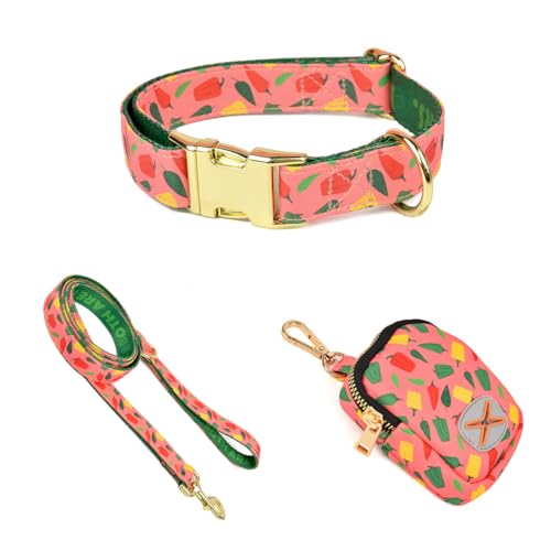 Hundehalsband und Leine im INS-Stil, ideal für Sommerausflüge mit Haustieren von Generic