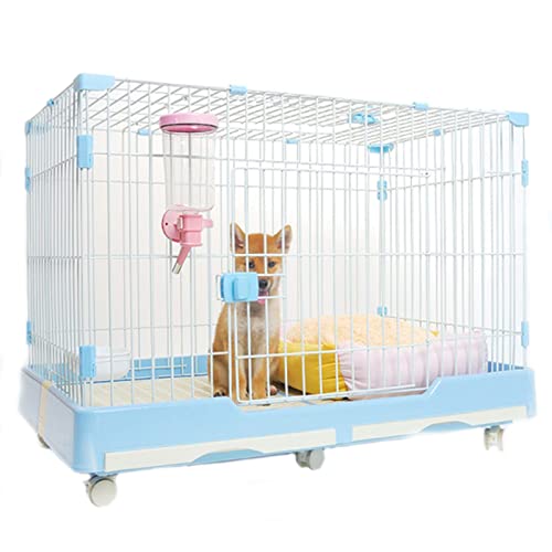 Hundekäfig, Haustier-Vivarium, Reptilien, Terrarium, PVC, Panorama-Aufzuchtbox, Eidechsen, Schildkröte, Haustier-Futterkäfig, Haus, Lebensraum (Farbe: Hundekäfig, Haustier-Vivarium, Reptilien, Terrarium, PVC, Panorama-Aufzuchtbox, Eidechsen, Schildkröte, Haustier-Futterkäfig, Haus, Lebensraum (Farbe: von Generic