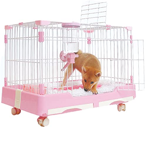 Hundekäfig, Haustier-Vivarium, Reptilien, Terrarium, PVC, Panorama-Aufzuchtbox, Eidechsen, Schildkröte, Haustier-Futterkäfig, Haus, Lebensraum (Farbe: Hundekäfig, Haustier-Vivarium, Reptilien, Terrarium, PVC, Panorama-Aufzuchtbox, Eidechsen, Schildkröte, Haustier-Futterkäfig, Haus, Lebensraum (Farbe: von Generic
