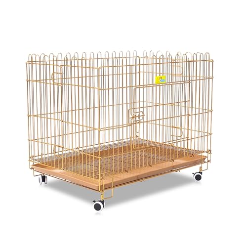 Hundekäfig Hundebox Faltbar Aus Eisen Tiertransportbox Hundetransportbox Mit Bodenschale Lenkrollen Offenes Design for Kleine und Mittelgroße Hunde(Gold) von Generic