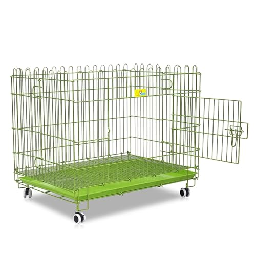 Hundekäfig Hundebox Faltbar Aus Eisen Tiertransportbox Hundetransportbox Mit Bodenschale Lenkrollen Offenes Design for Kleine und Mittelgroße Hunde(Green) von Generic
