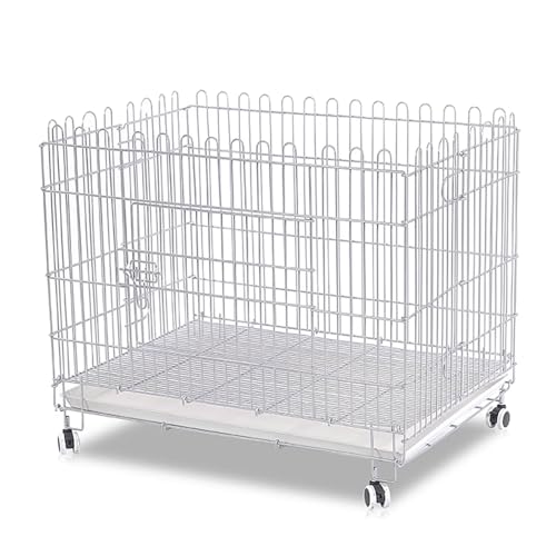 Hundekäfig Hundebox Faltbar Aus Eisen Tiertransportbox Hundetransportbox Mit Bodenschale Lenkrollen Offenes Design for Kleine und Mittelgroße Hunde(White) von Generic