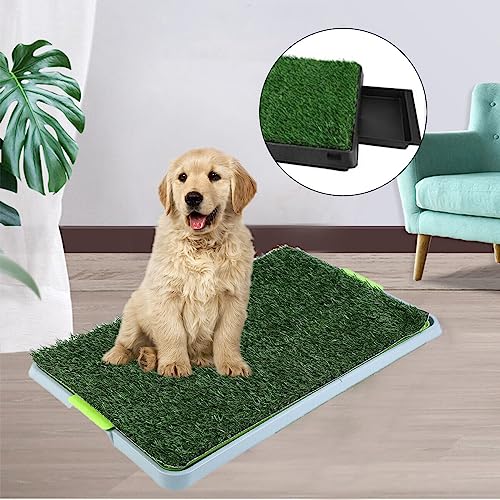 Hundeklo Hundetoilette, Welpentoilette 67 x 42cm, Indoor Hundetöpfchen, Hunde Toilette Welpenklo Training Rasenmatte für Kleine Hunde Grosse Hunde ältere Hundeklo Hundetoilette, Welpentoilette 67 x 42cm, Indoor Hundetöpfchen, Hunde Toilette Welpenklo Training Rasenmatte für Kleine Hunde Grosse Hunde ältere von Generic