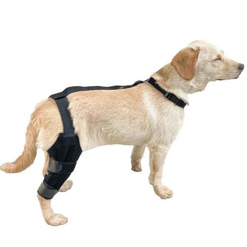 Hundekniegelaste - Hinterbein -Stützhülle Für Haustiere | Nicht-Schlupf-Knie-Beschützer Mit Einstellbarem Riemen | Weiche Kompression Für Gelenkschmerzen, Mobilitätsfixierung, Genesung Und Rehabilitat von Generic
