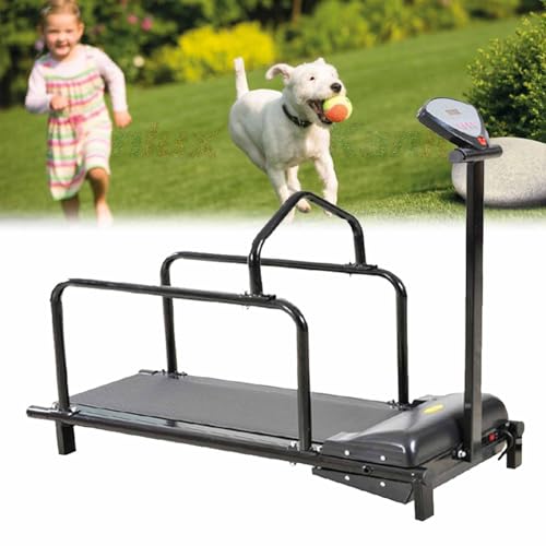 Hundelaufband for große und kleine Hunde, Hundelaufband mit Sicherheitszaun, Indoor-Trainingsgerät mit leisem Motor und einstellbaren Geschwindigkeiten for Indoor-Training Hundelaufband for große und kleine Hunde, Hundelaufband mit Sicherheitszaun, Indoor-Trainingsgerät mit leisem Motor und einstellbaren Geschwindigkeiten for Indoor-Training von Generic