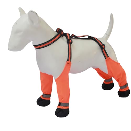 Hundepfotenschutz, Kältebeständige Hundestiefel, rutschfeste Hundestiefel, Gummisohlen, wasserdichte Schneestiefel, Kragen, Sichere Passform, Warm, Einfache-Pfotenschutz für Kaltes Wetter Hundepfotenschutz, Kältebeständige Hundestiefel, rutschfeste Hundestiefel, Gummisohlen, wasserdichte Schneestiefel, Kragen, Sichere Passform, Warm, Einfache-Pfotenschutz für Kaltes Wetter von Generic