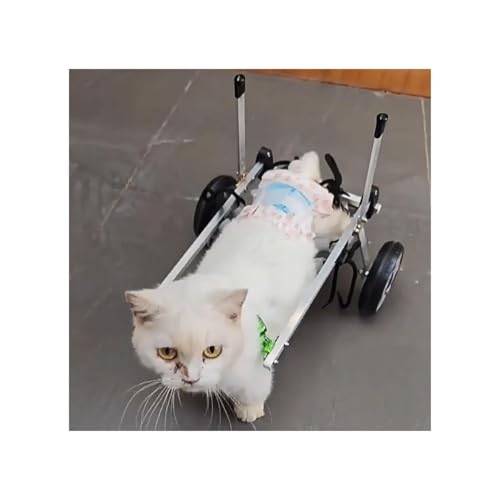 Hunderollstuhl, Behinderter/gelähmter Katzenrollstuhl Für Ältere Menschen, XXS/Xs/S Kätzchen Arthritis Mobilitätshilfen Unterstützung, Schwache Beinschiene Laufwagen, Hundeassistenzfahrzeuggerät(XXS) von Generic