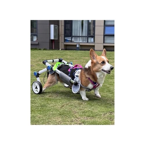 Hunderollstuhl, Faltbar Für Die Hinterbeine, Verstellbarer Blauer Haustier-Rehabilitationswagen Für Drinnen Und Draußen, Katzen-Laufhilfen, Katzenbeinschiene Und Hüftstütze, Gehhilfe Für Hunde(S) Hunderollstuhl, Faltbar Für Die Hinterbeine, Verstellbarer Blauer Haustier-Rehabilitationswagen Für Drinnen Und Draußen, Katzen-Laufhilfen, Katzenbeinschiene Und Hüftstütze, Gehhilfe Für Hunde(S) von Generic